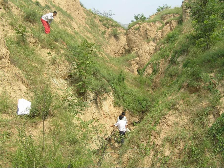 天水市成紀大道工程地質(zhì)災害危險性評估
